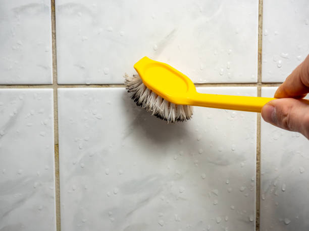 Best Mold Removal and Inspection  in Dakota City, NE