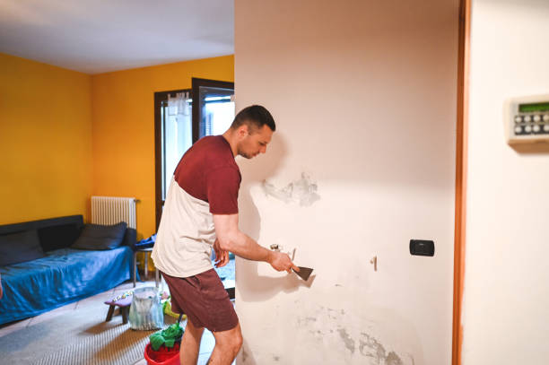 Best Attic Mold Removal  in Dakota City, NE